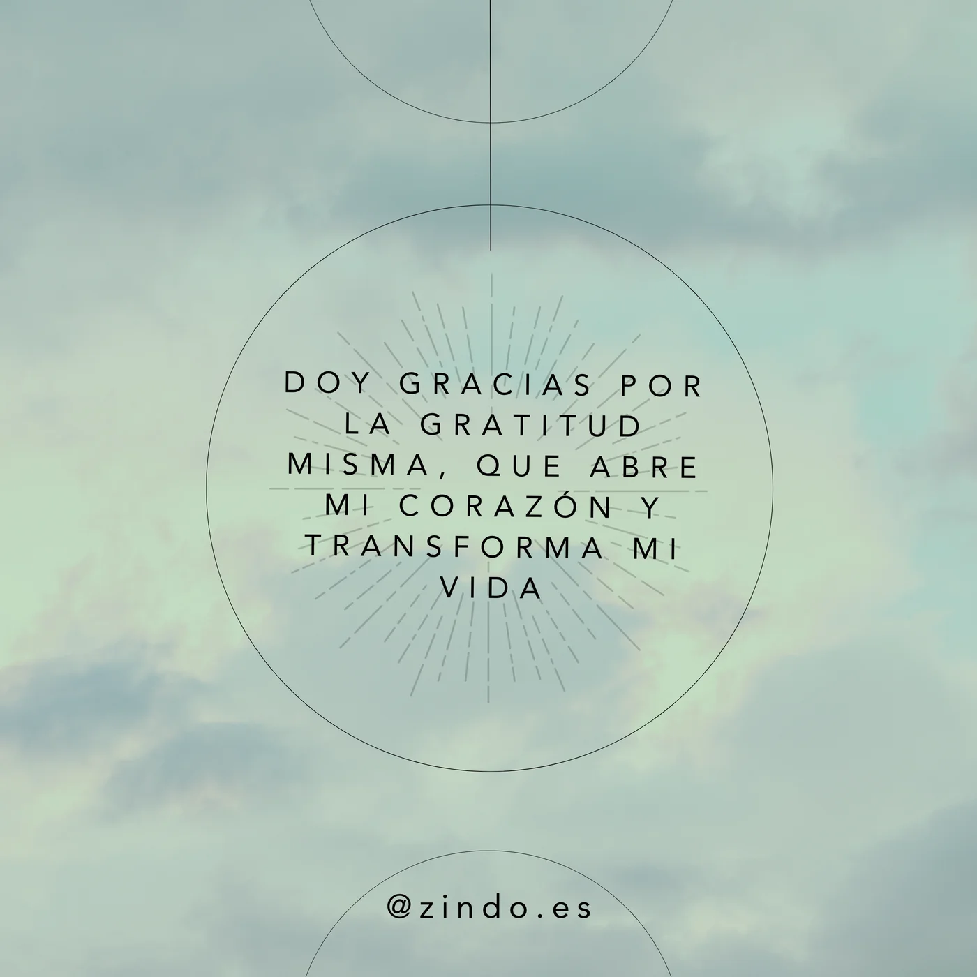 Día 20 — 21 Días de Gratitud